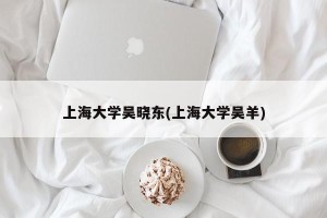 上海大学吴晓东(上海大学吴羊)